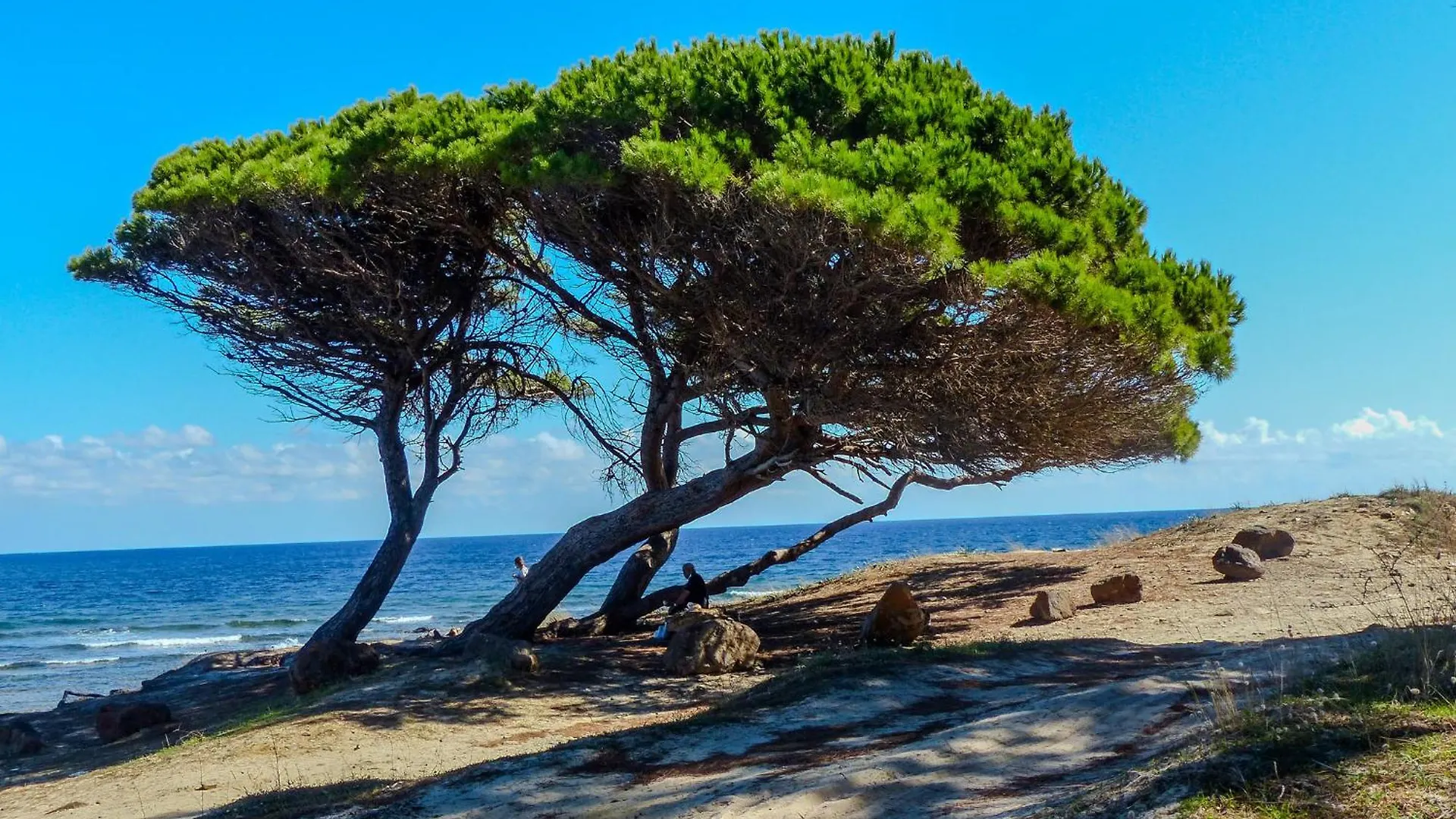 La Caletta Apartments - A 100 Mt Dal Porto